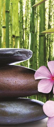 Buddha Zen poszter, fotótapéta (91 x 211 cm)