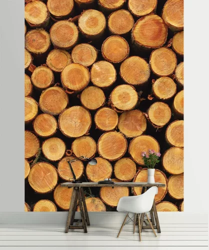 Farönk poszter, fotótapéta, Vlies (206x275 cm, álló)