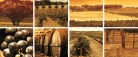 Wineyard minta poszter, fotótapéta (250 x 104 cm)