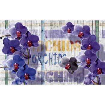 Lila orchidea poszter, fotótapéta