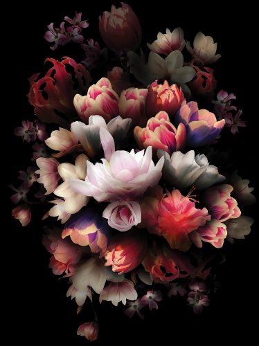 Virágok poszter, fotótapéta, Vlies  (184x254 cm, álló)