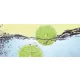 Lime poszter, fotótapéta (250 cm x 104 xm)