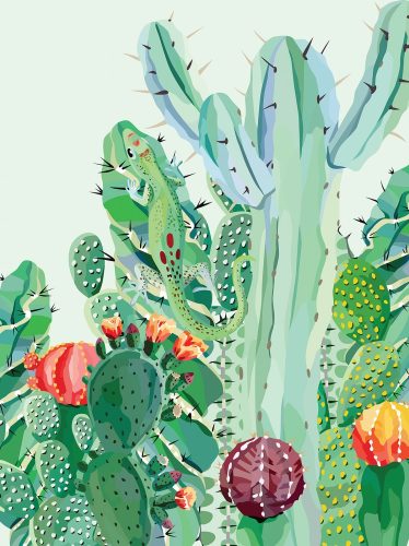 Kaktuszok poszter, fotótapéta, Vlies  (206x275 cm, álló)