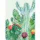 Kaktuszok poszter, fotótapéta, Vlies  (184x254 cm, álló)
