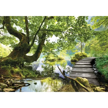 Folyópart poszter, fotótapéta