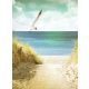 Szárnyaló madár a tengerparton poszter, fotótapéta, Vlies  (184x254 cm, álló)