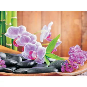Orchidea poszter, fotótapéta