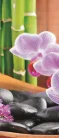 Orchidea poszter, fotótapéta (91 x 211 cm)