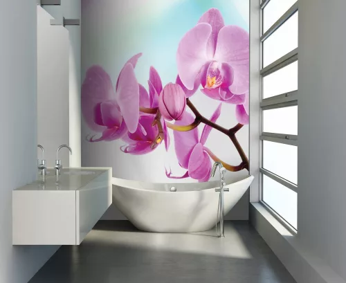 Orchidea poszter, fotótapéta (184 x 254 cm)