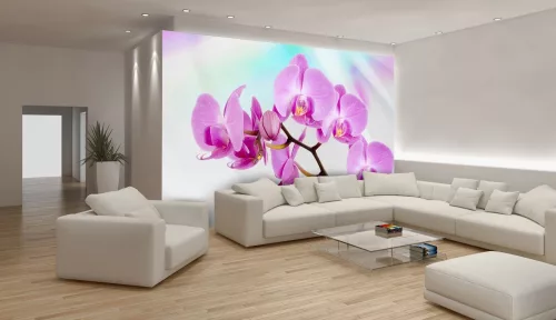 Orchidea poszter, fotótapéta
