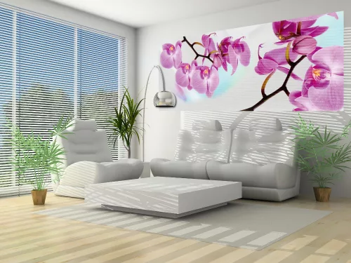 Orchidea poszter, fotótapéta (250 x 104 cm)
