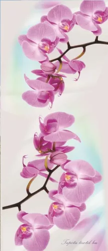 Orchidea poszter, fotótapéta (91 x 211 cm)