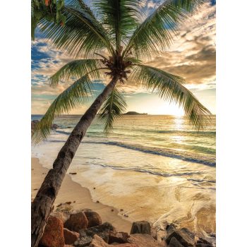   Pálmafa a napos tengerparton poszter, fotótapéta, Vlies (206x275 cm, álló)
