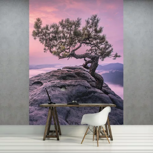 Fa a sziklán poszter, fotótapéta (184 x 254 cm)