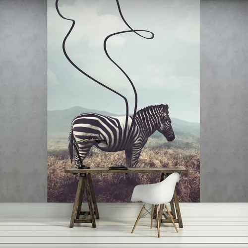 Zebra poszter, fotótapéta (206 x 275 cm)