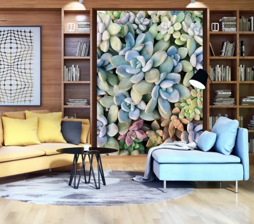 Kőrózsák poszter, fotótapéta (206 x 275 cm)