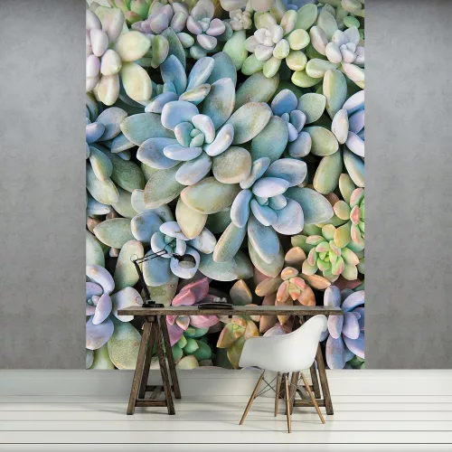 Kőrózsák poszter, fotótapéta (206 x 275 cm)