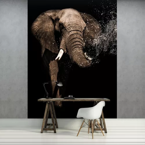 Elefánt poszter, fotótapéta (184 x 254 cm)