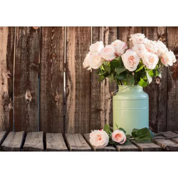 Rózsa poszter, fotótapéta