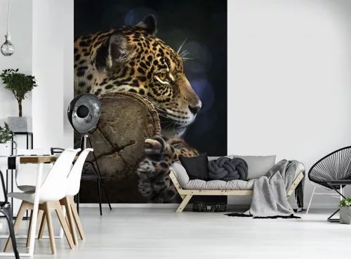 Jaguár poszter, fotótapéta (184 x 254 cm)