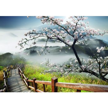   Fa a hegyoldalban poszter, fotótapéta, Vlies (104 x 70,5 cm)