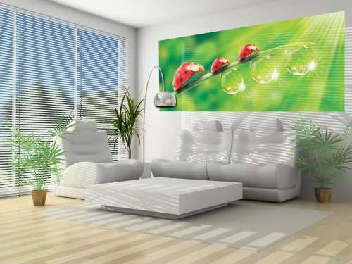Katicák poszter, fotótapéta (250 x 104 cm)