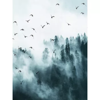 Ködös erdő poszter, fotótapéta (184 x 254 cm)