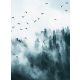 Ködös erdő poszter, fotótapéta, Vlies  (206x275 cm, álló)