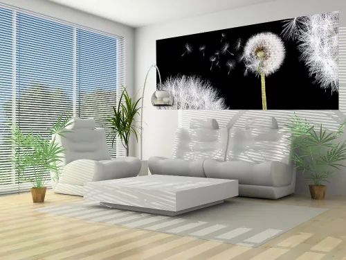 Pitypang poszter, fotótapéta (250 cm x 104 xm)