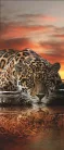 Jaguár öntapadós poszter, fotótapéta (91 x 211 cm)