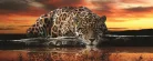 Jaguár poszter, fotótapéta (250 x 104 cm)