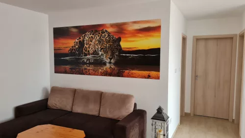 Jaguár poszter, fotótapéta (250 x 104 cm)
