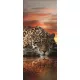 Jaguár poszter, fotótapéta (91 x 211 cm)