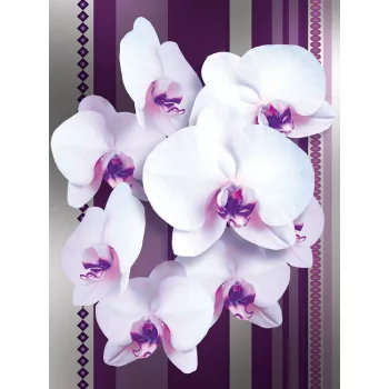 Orchidea poszter, fotótapéta (184 x 254 cm)