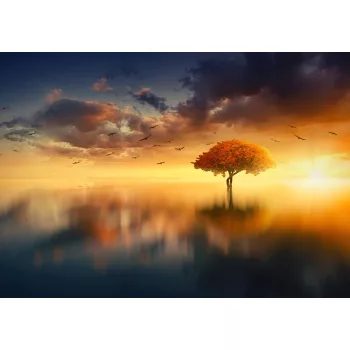 Tenger és Naplemente poszter, fotótapéta