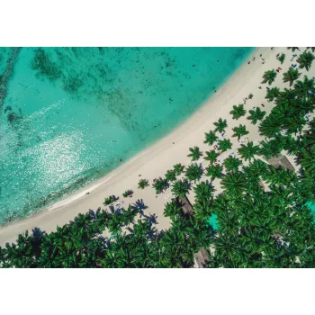 Tengerpart Fák poszter, fotótapéta