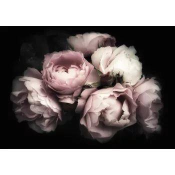 Rózsák poszter, fotótapéta