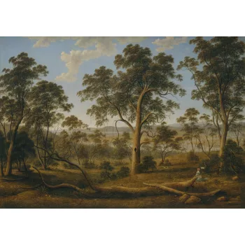 Erdős poszter, fotótapéta