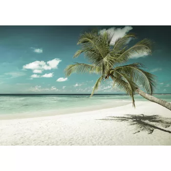 Homokos tengerpart poszter, fotótapéta