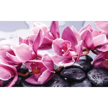 Orchidea köveken poszter, fotótapéta