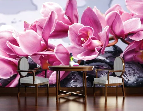 Orchidea köveken poszter, fotótapéta
