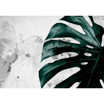 Levél poszter, fotótapéta, Vlies (104 x 70,5 cm)