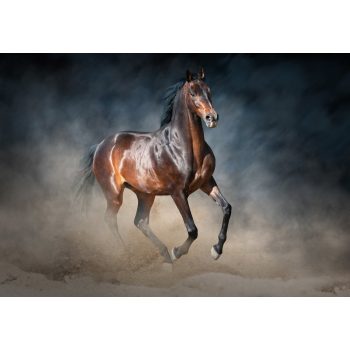 Ló poszter, fotótapéta, Vlies (104 x 70,5 cm)