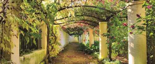 Kertben poszter, fotótapéta (250 x 104 cm)