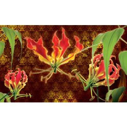 Red lilies poszter, fotótapéta, Vlies (104 x 70,5 cm)