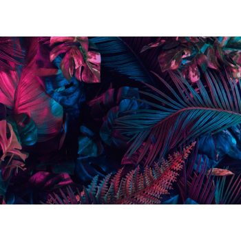   Trópusi levelek poszter, fotótapéta, Vlies (104 x 70,5 cm)