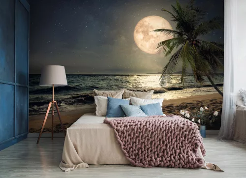 Hold a tengerpartról poszter, fotótapéta