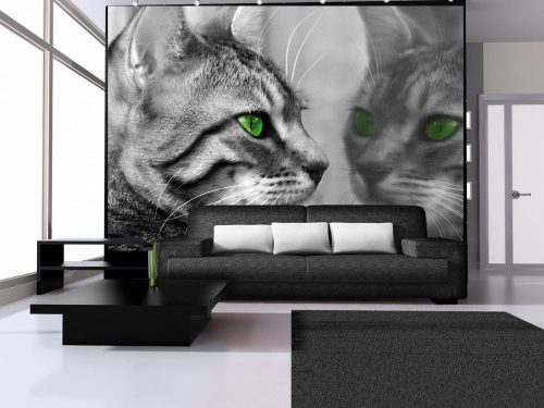 Cica poszter, fotótapéta, Vlies (104 x 70,5 cm)
