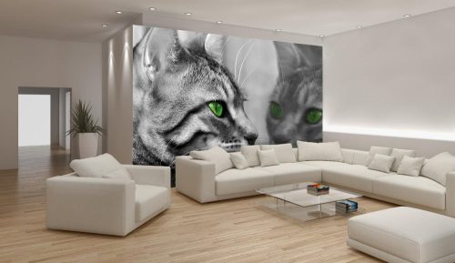 Cica poszter, fotótapéta, Vlies (104 x 70,5 cm)
