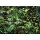 Trópusi erdő poszter, fotótapéta Vlies (208 x 146 cm)